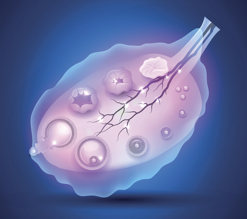 重庆助孕机构排名前十强：重庆市三大优质助孕医院详细介绍